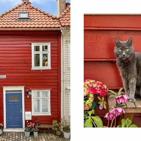 Dinbnb Homes L 100 Meters From Floybanen L A Rare Experience Holiday home Bergen